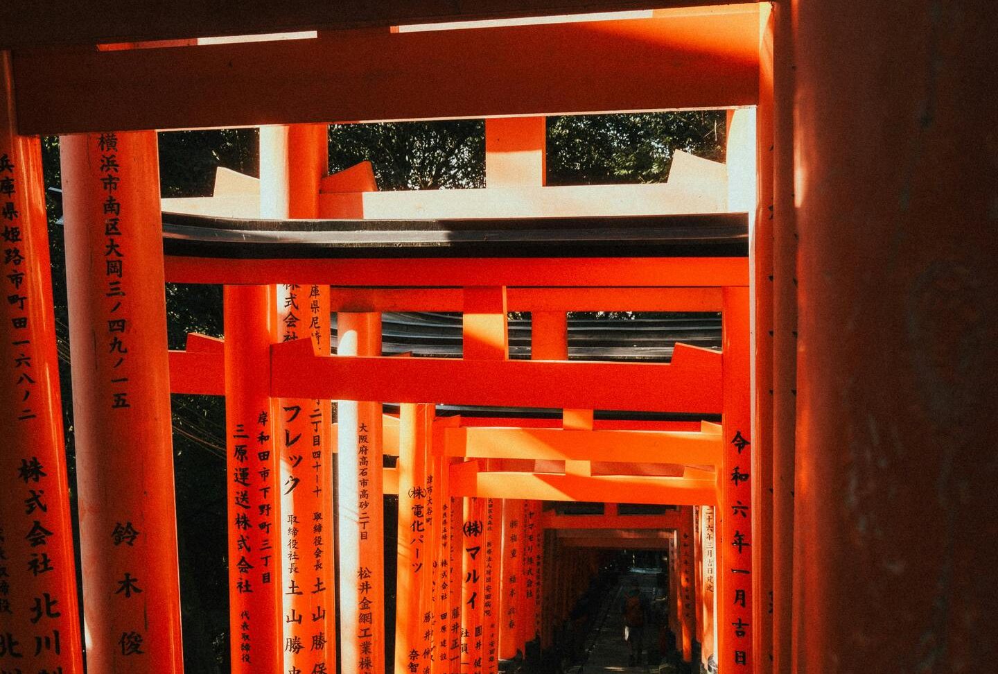 pexels-naro-k-670655635-31353530